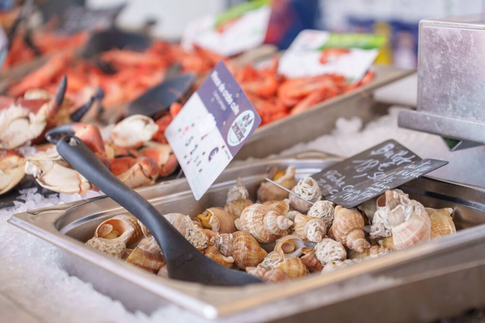 Les bulots et autres crevettes qui colorent les étals de poisson des aubettes de Calais et son courgain maritime.