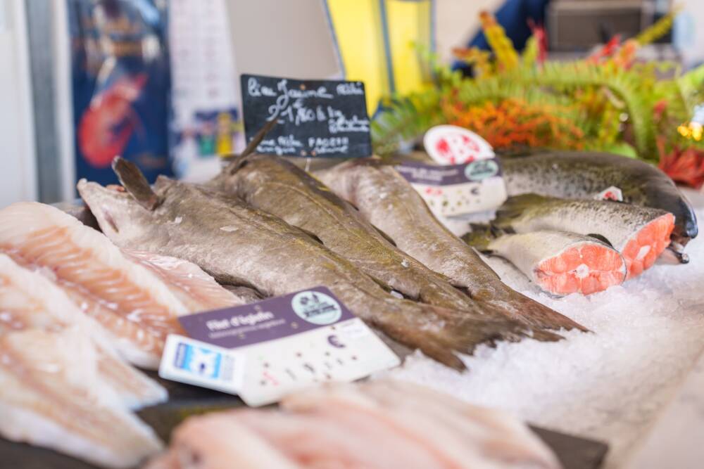 Un étal de poissons frais des aubettes du quartier de pêcheurs de Calais : le courgain maritime.