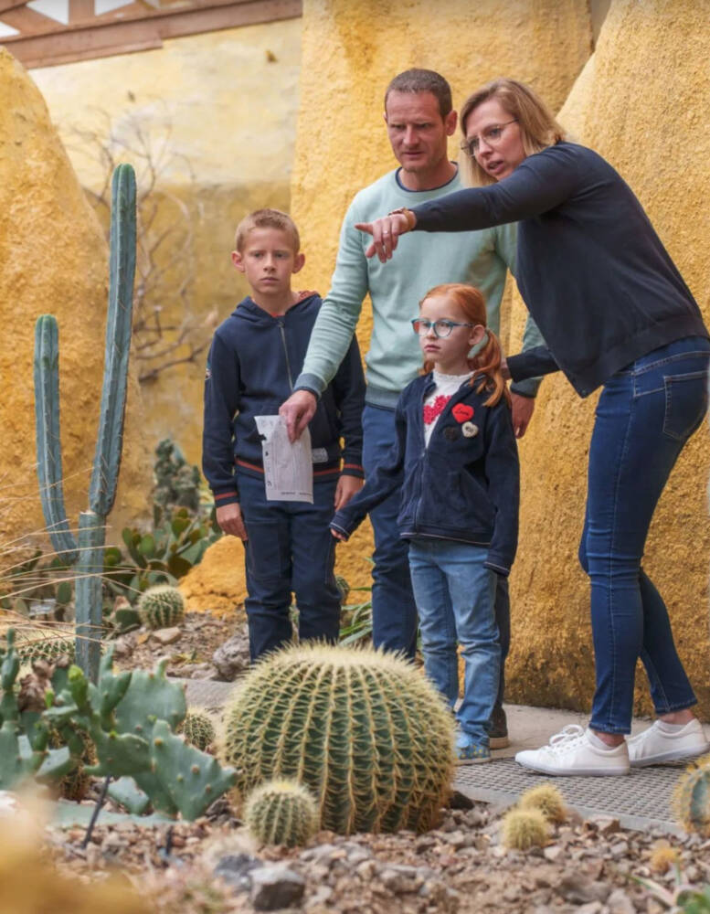 Une famille découvre les différents univers du Jardin du beau Pays, à l'image ici des espèces cactées.