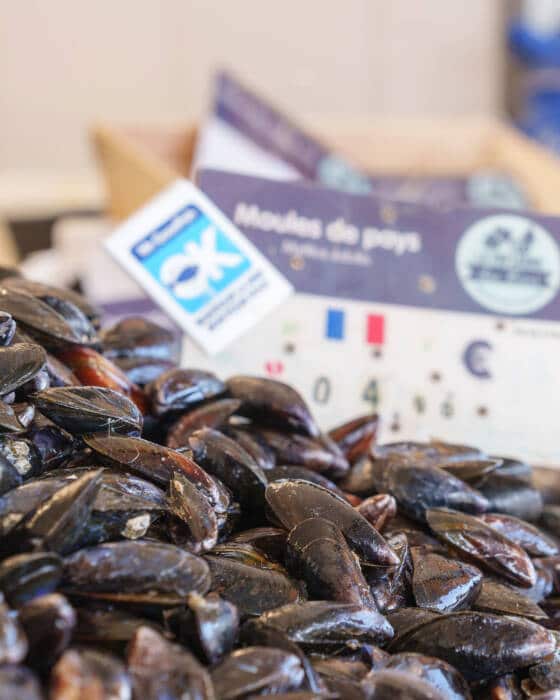 Zoom sur une étiquette label Mr Goodfish sur les étals de moules du quartier des pêcheurs de Calais.