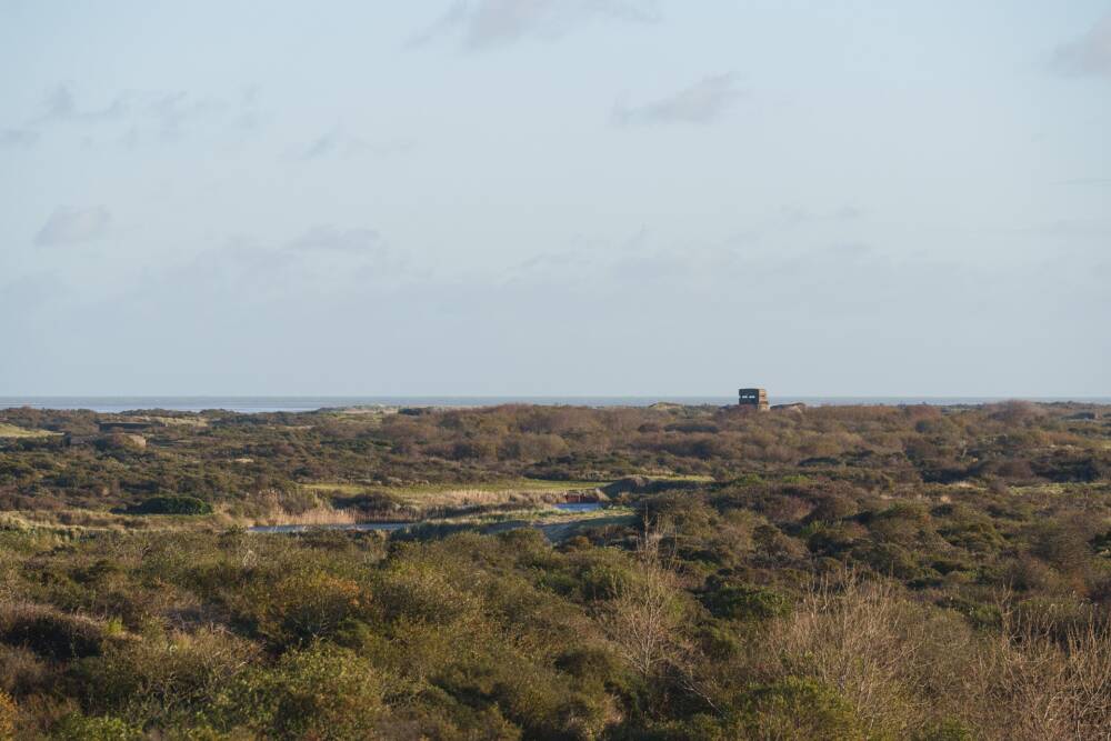 En longeant le trait de côte, vers Marck, l'espace naturel du Fort Vert dévoile sur cette photo dunes, marais, polders et estrans.