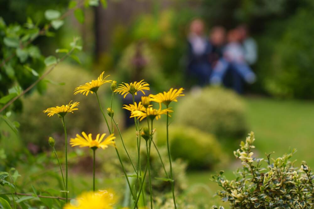 Jardin du Beau Pays à Marck