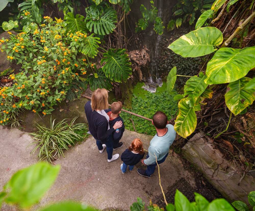 Serre tropicale au Jardin du Beau Pays à Marck